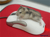 Avatar von [UoF]the_mole.